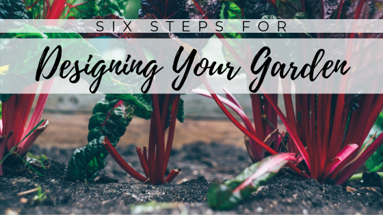 6 Steps for Designing Your Garden Main Photo