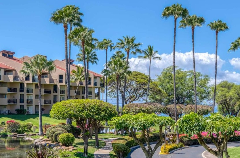 Maui Sellers