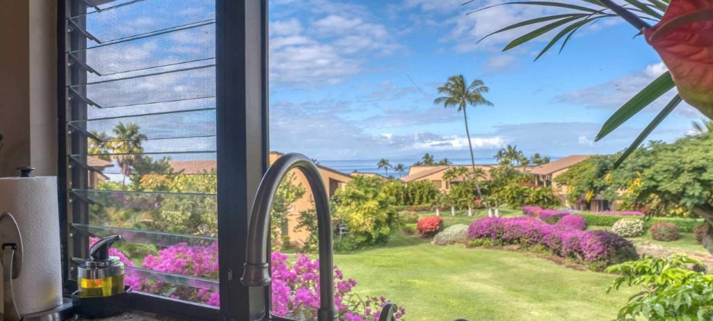 Maui Buyers
