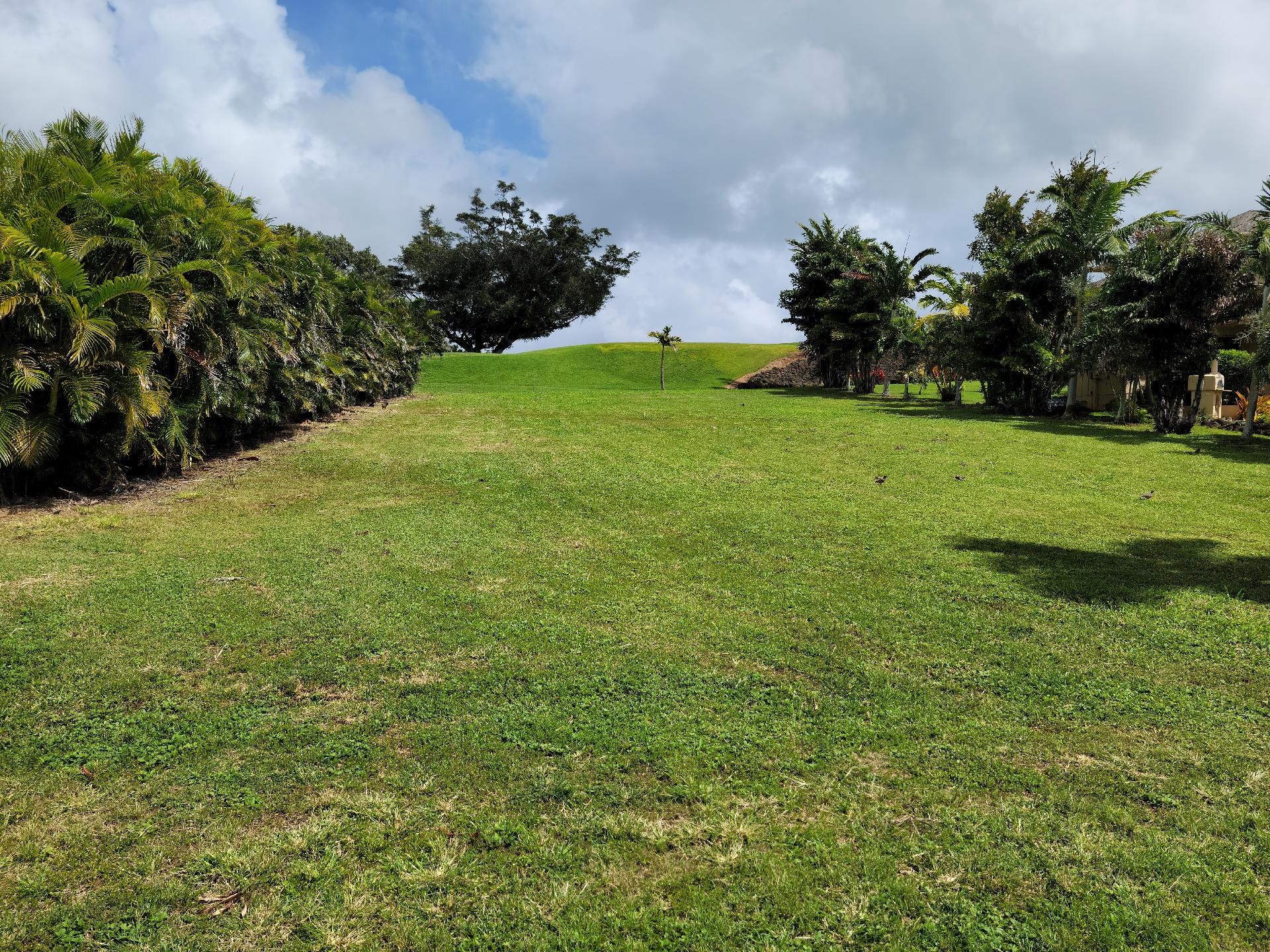 12 March | Poipu & Koloa Properties Picture