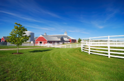 Oldham County- Kentucky Picture