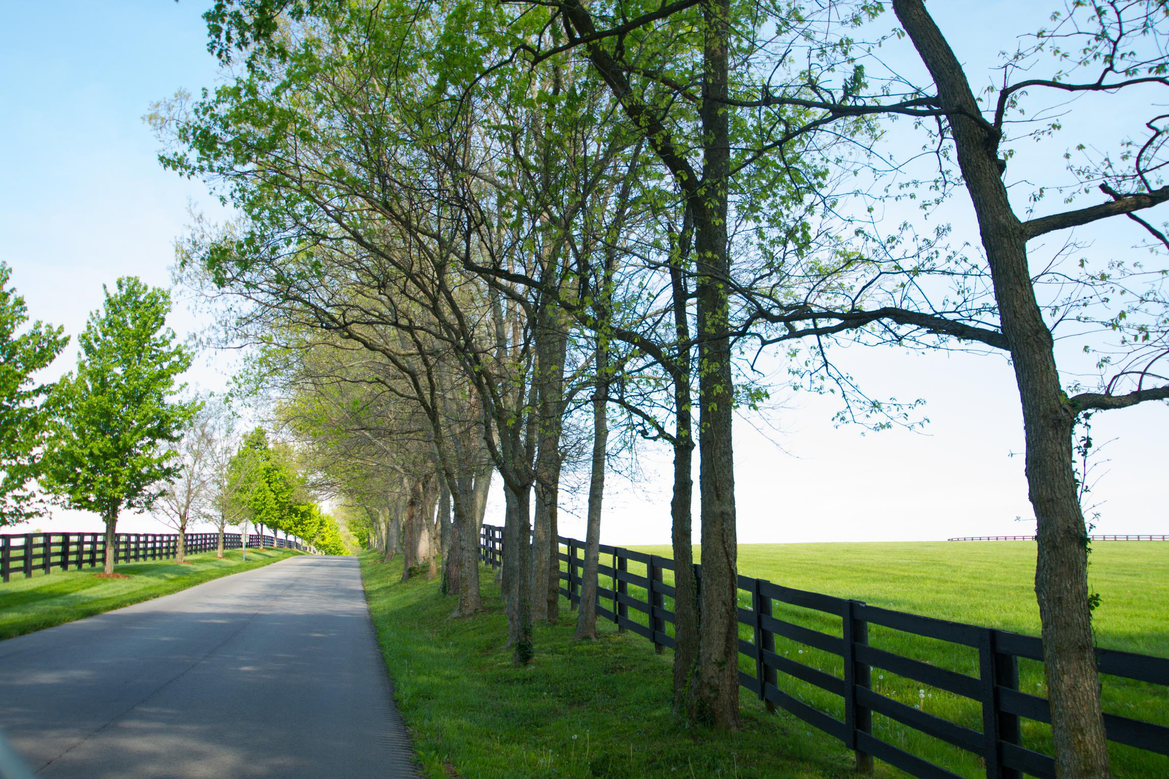 Crestwood Real Estate Lifestyle Photo 04