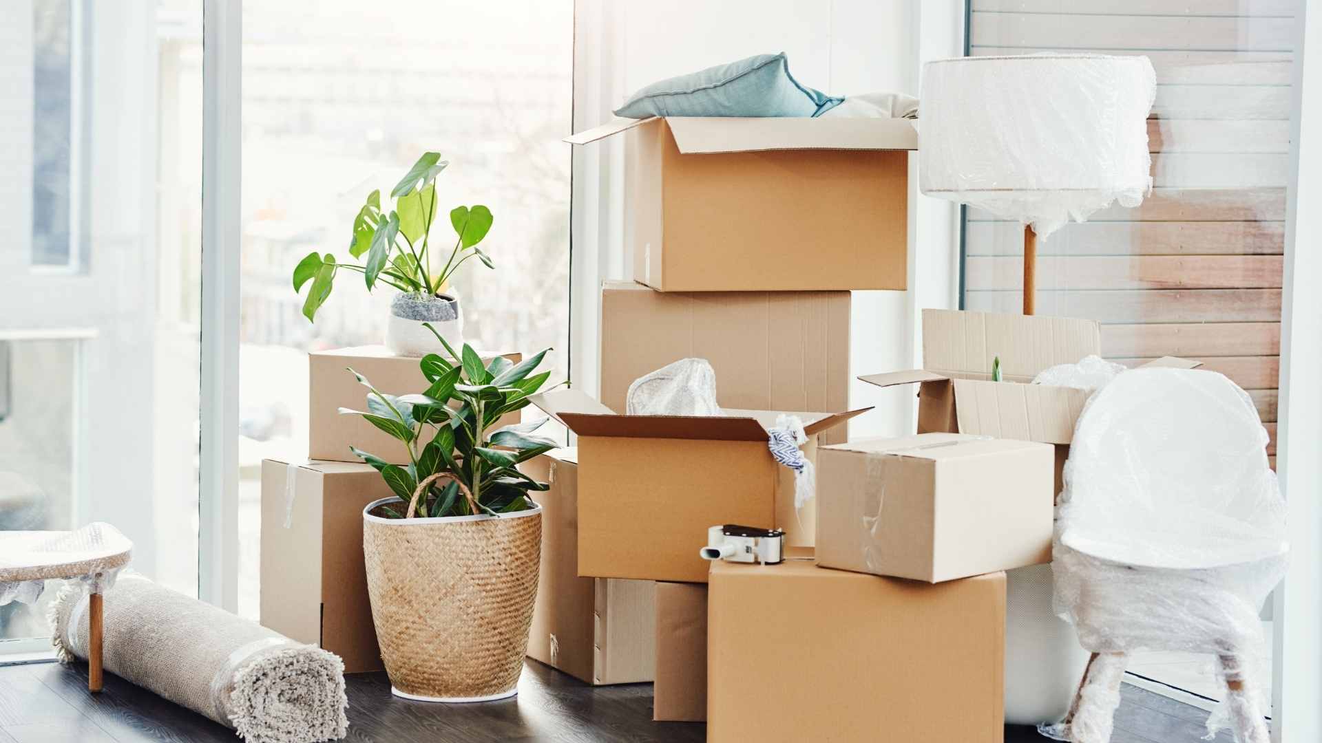 Selling & Moving in the Summer: The Ultimate Guide to a Smart, Budget-Friendly Move Main Photo