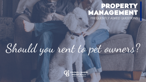 Should You Rent to Pet Owners? Main Photo