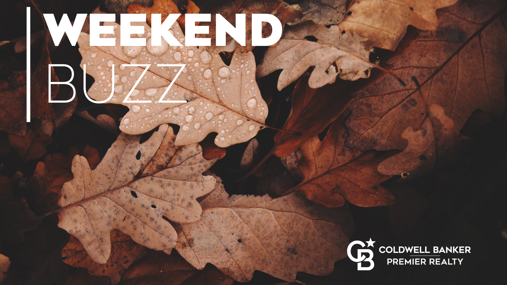 Happy Nevada Day! Weekend Events in Las Vegas Main Photo