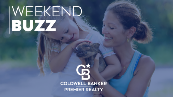Weekend Events | 3.5.20 Main Photo
