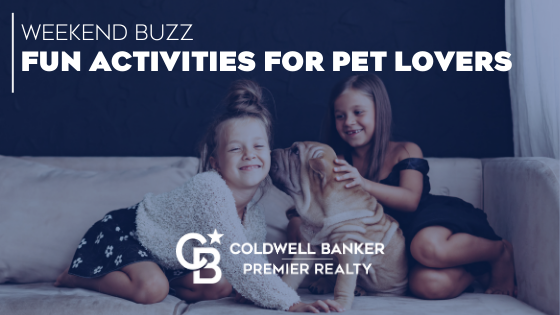 Fun Activities for Pet Lovers to Try This Weekend Main Photo