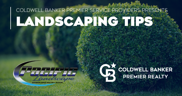 Landscaping Tips from Pacific Landscape Main Photo