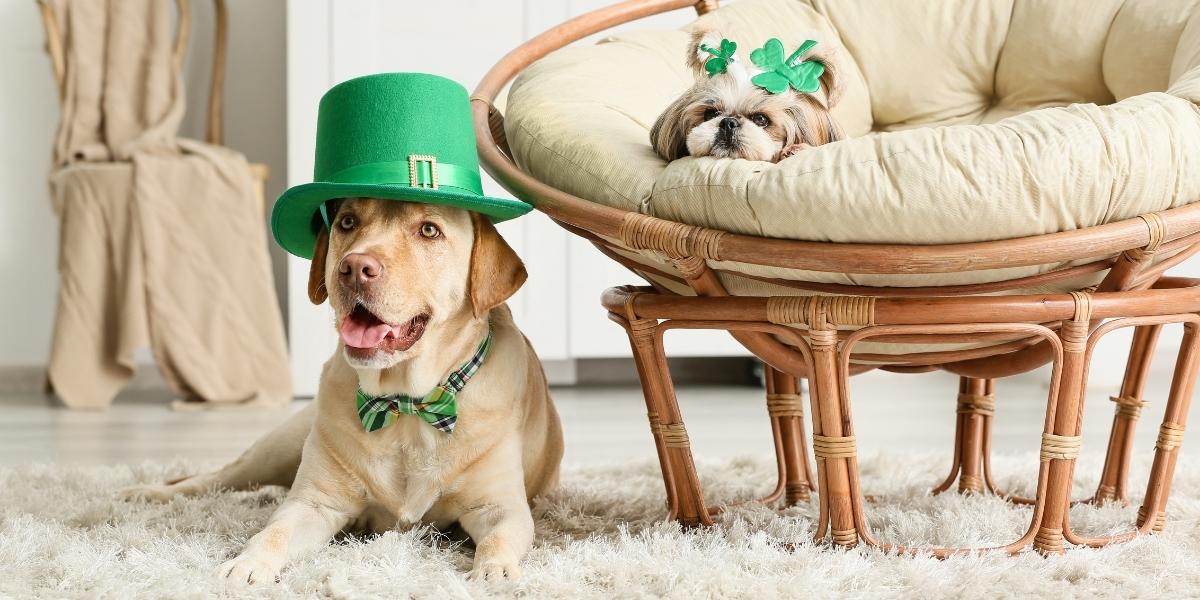 St. Patrick's Day Weekend & Other Events Main Photo
