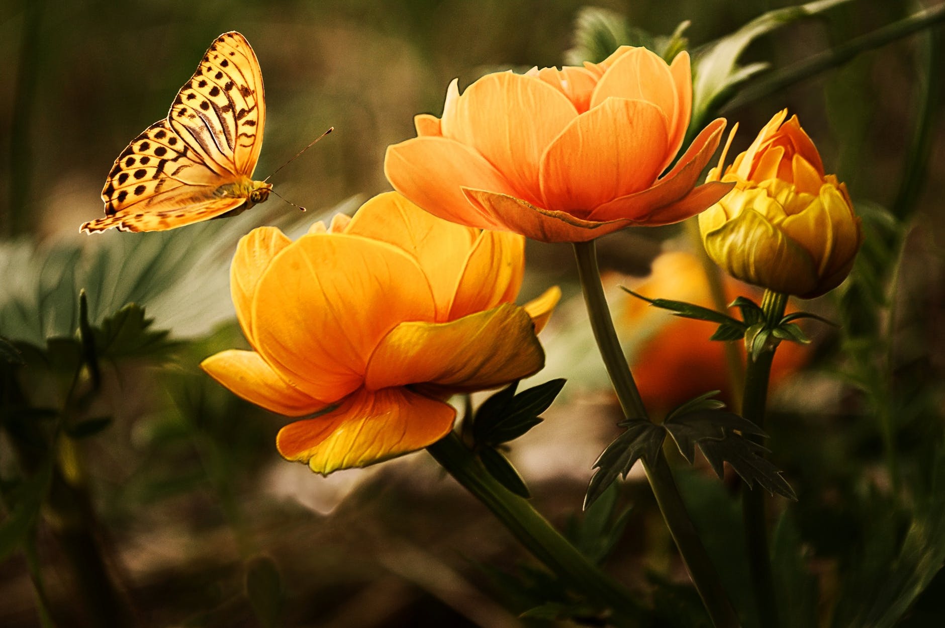 12 Stunning Spring Container Gardens Main Photo