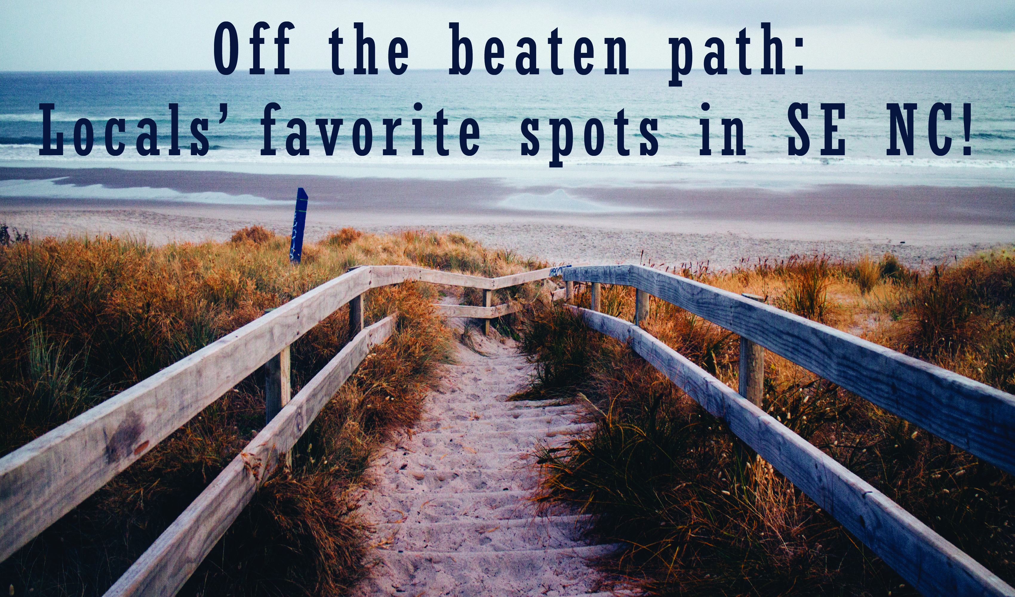 Off the Beaten Path Main Photo