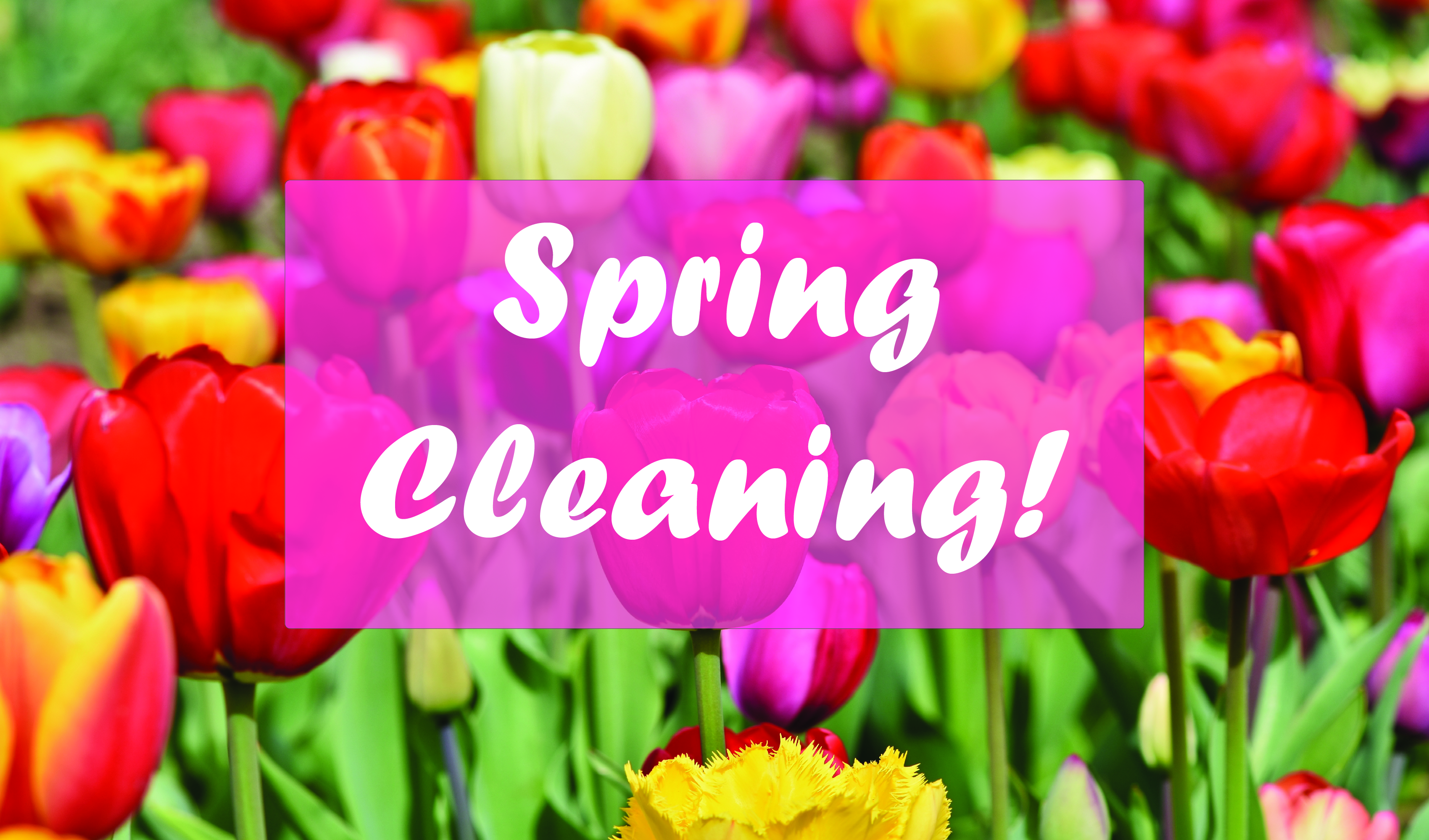 Tips for Green Spring Cleaning Main Photo