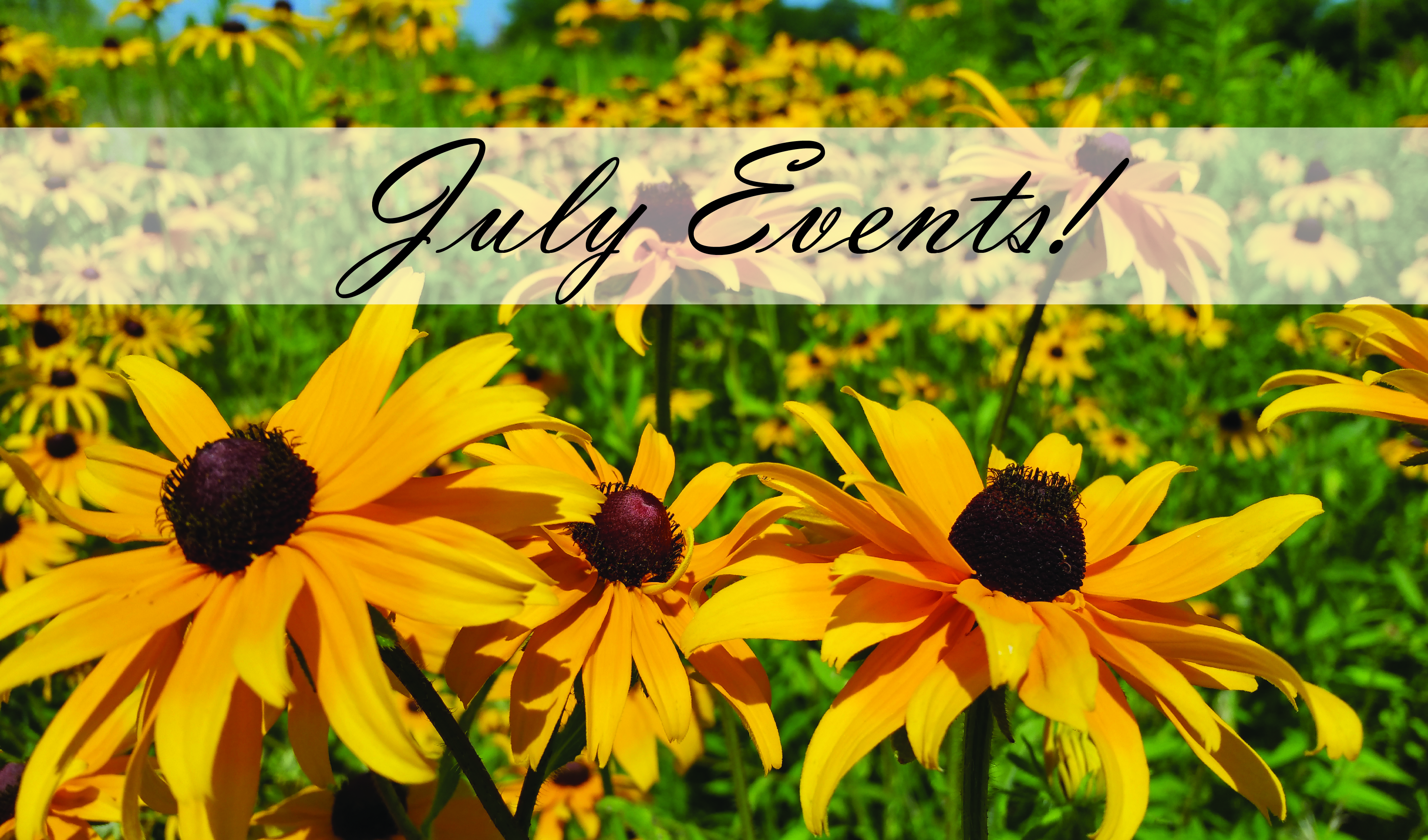 July Events! Main Photo