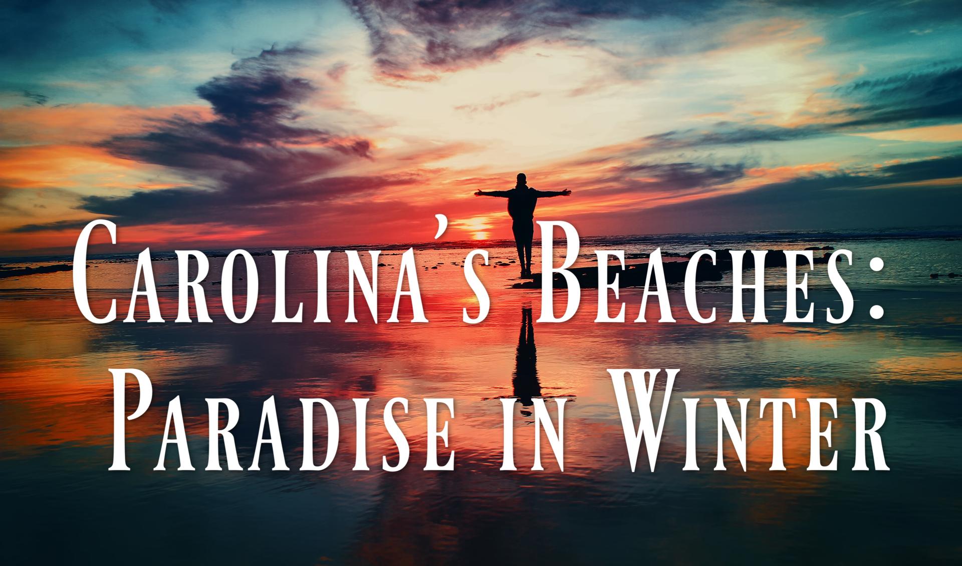 Carolina's Beaches: Paradise in Winter Main Photo