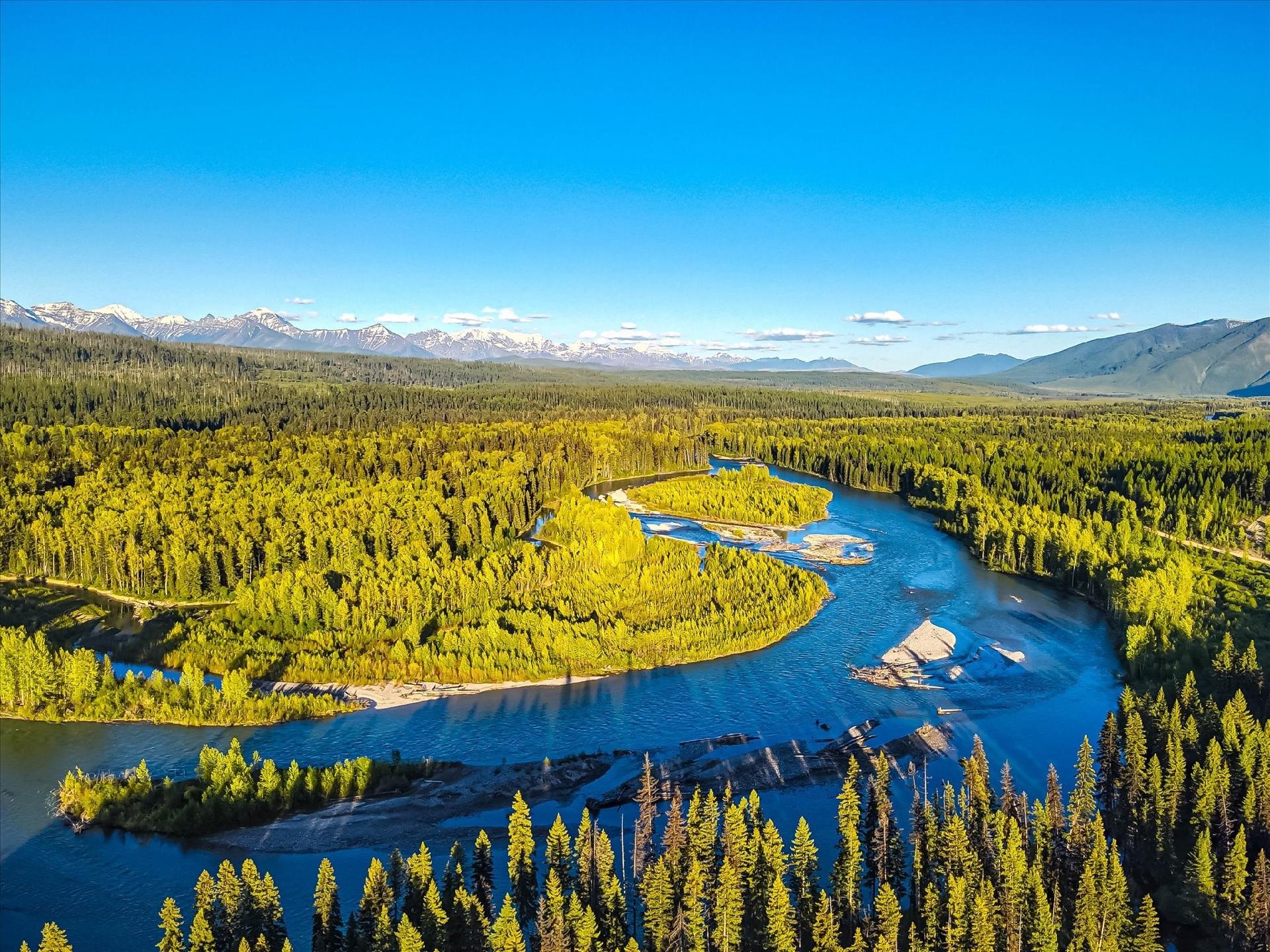 REAL ESTATE ROUNDUP: DISCOVER THE ANGLER'S PARADISE Main Photo
