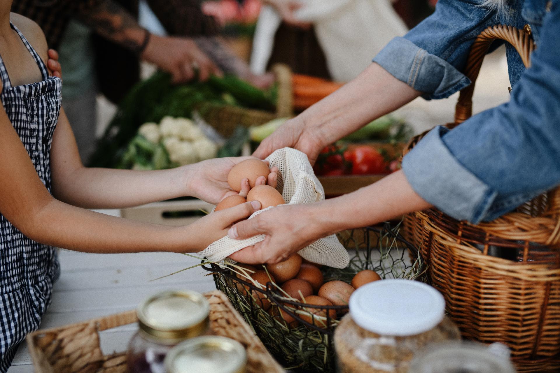 LOCAL FLAVORS, FRESH FINDS Main Photo