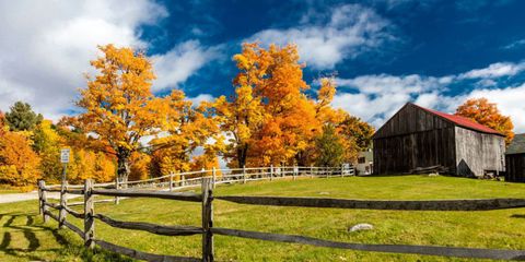 Why Selling This Fall May Be Your Best Move Main Photo