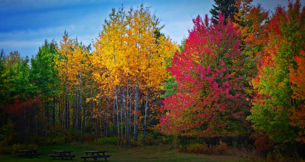 Mount Pocono Picture