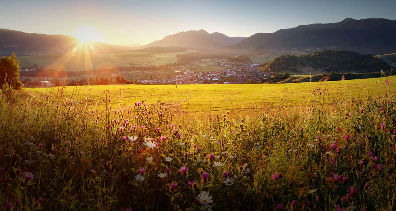 Mountain Property