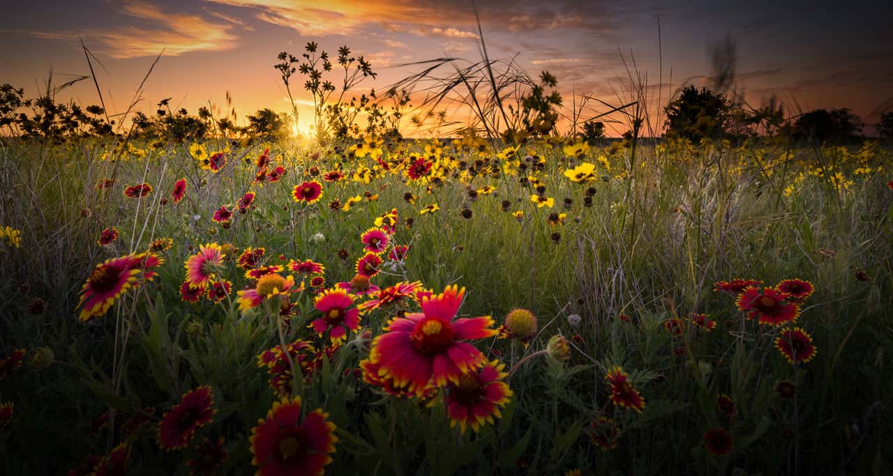 Land Picture