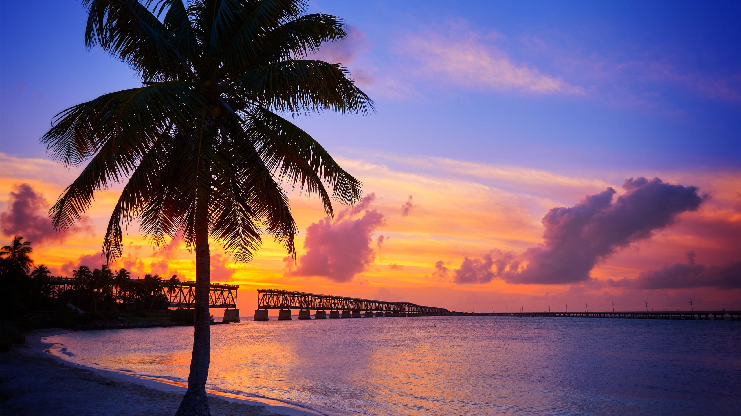 banner image 2