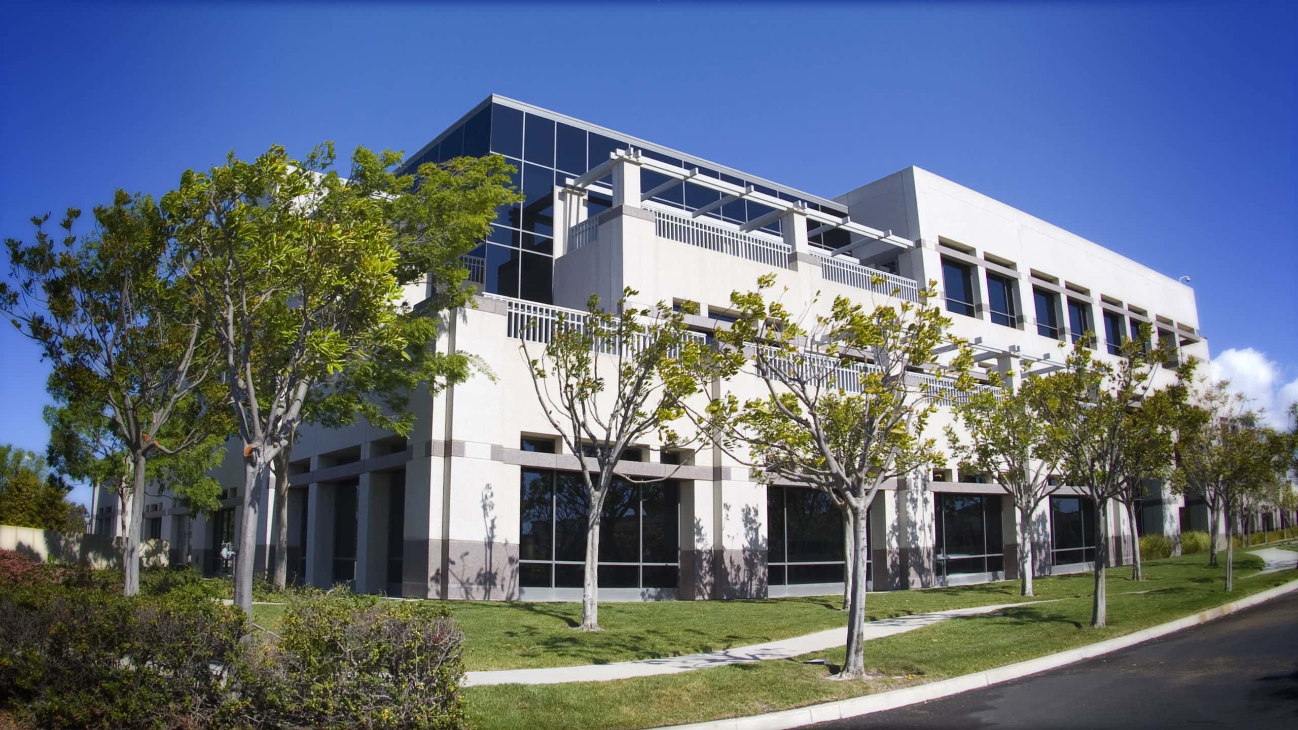 Vaughan Real Estate Lifestyle Photo 06