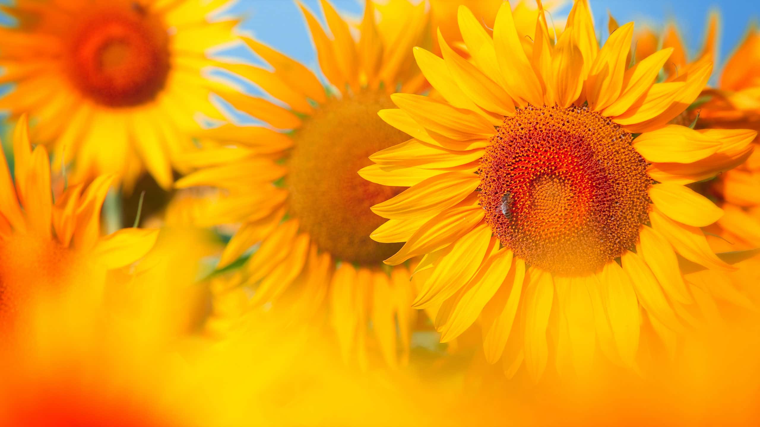 Havelock Real Estate Lifestyle Photo 04