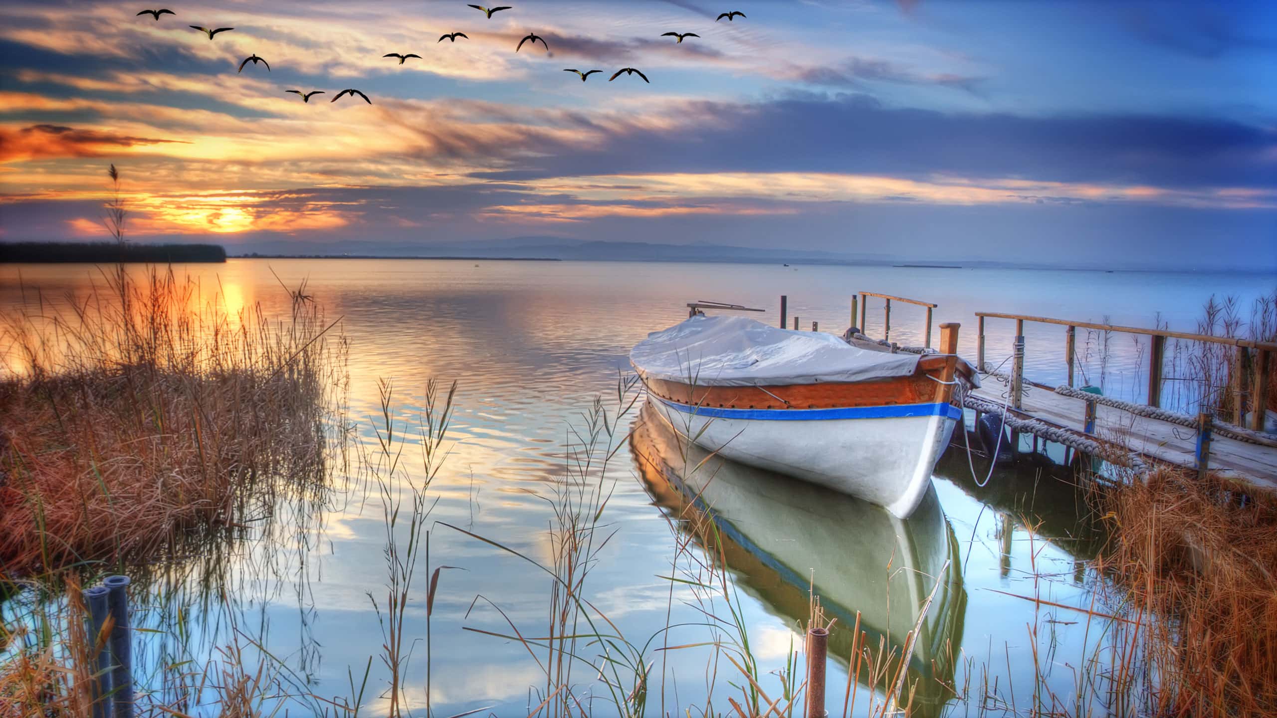banner image 2