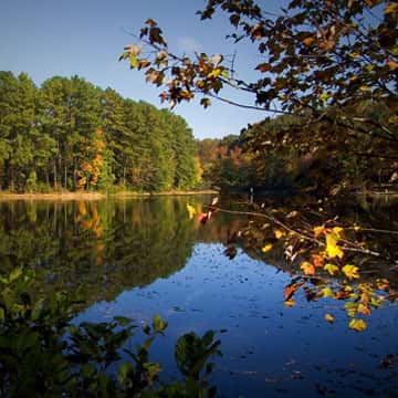 Fuquay Varina Picture