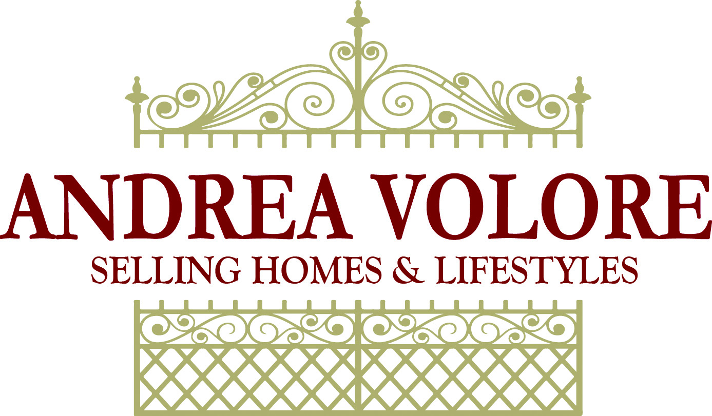 Company Logo Image